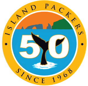 Island Packers celebrates 50 years!