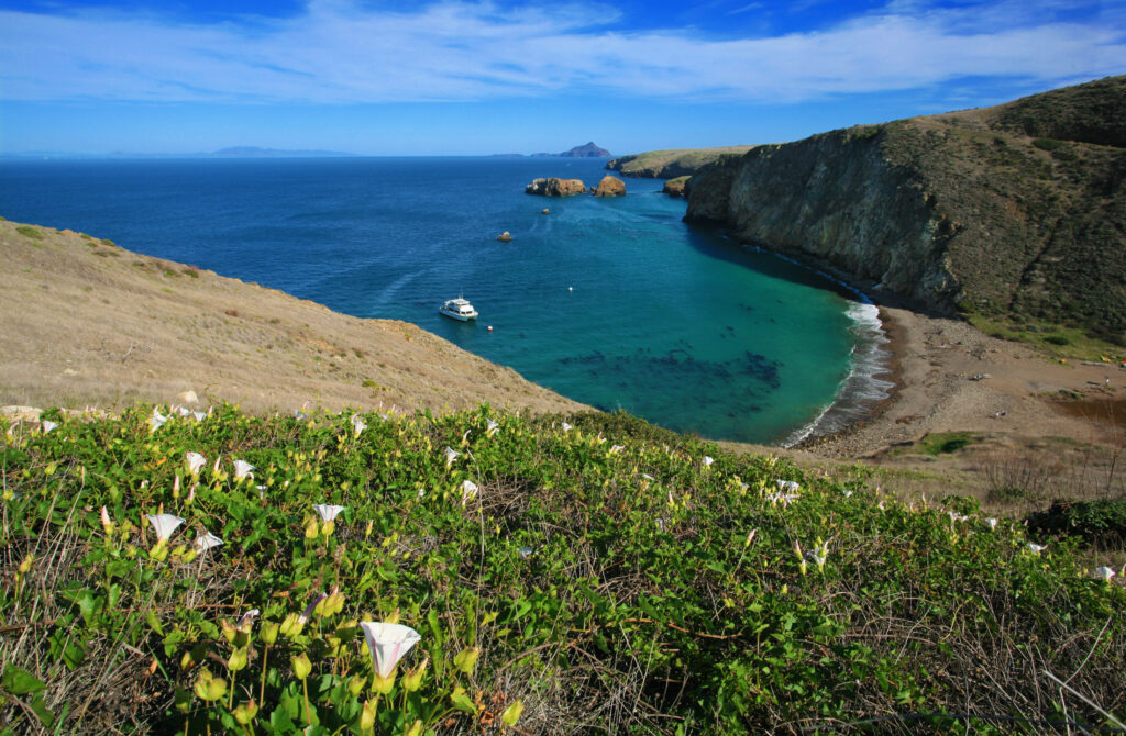 view from atop of one of the Channel Islands with an Island Packers boat anchored in Scorpion Cove