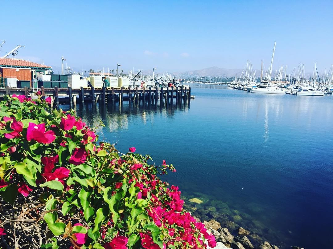 Ventura Port District sets sights on $4 5 million dock replacement