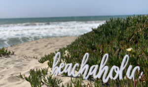 beachaholic