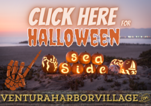 click here for halloween with a picture of seaside pumpkins