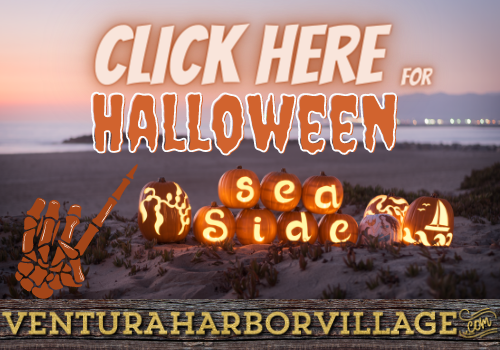 click here for halloween with a picture of seaside pumpkins