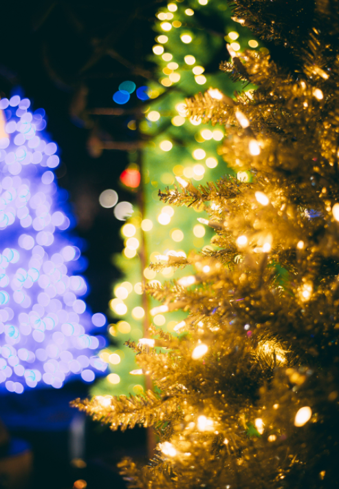 sparkling holiday trees in gold, green and blue